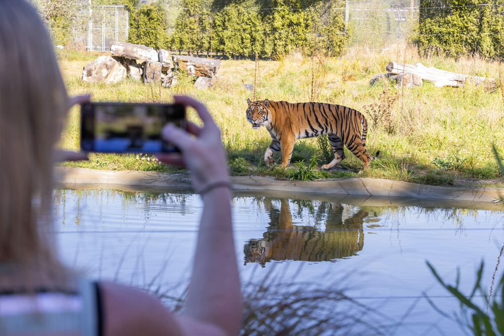 Orana Wildlife Park - Bild 3 von 5
