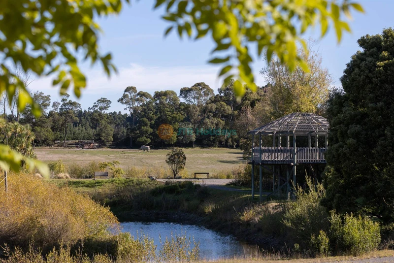 Orana Wildlife Park - New Zealand’s Top Wildlife Experience - JTR Holidays - Image 6 of 7
