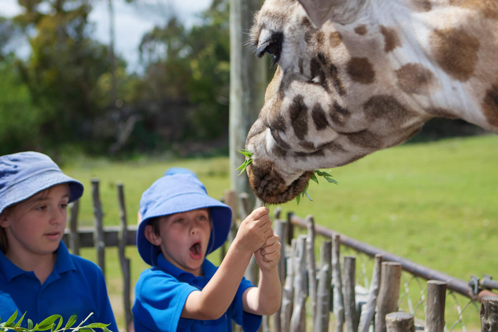 Orana Wildlife Park - Image 7 of 7