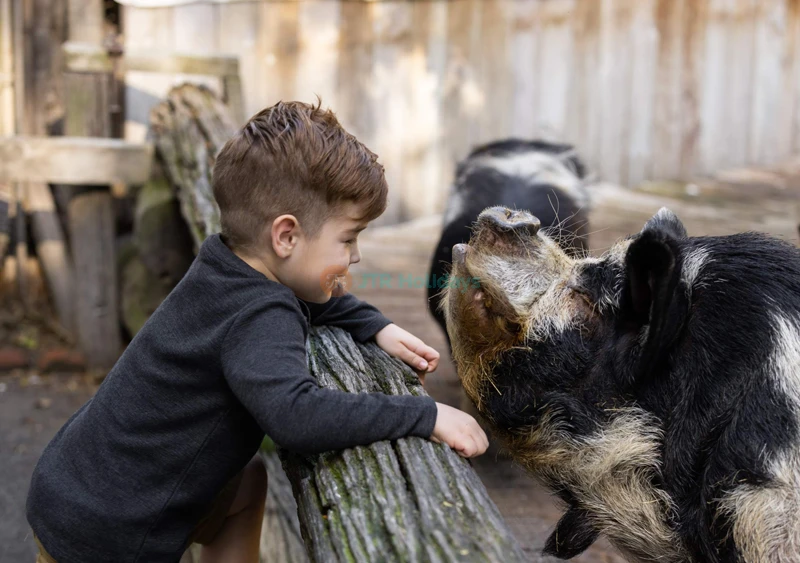 Willowbank Wildlife Reserve