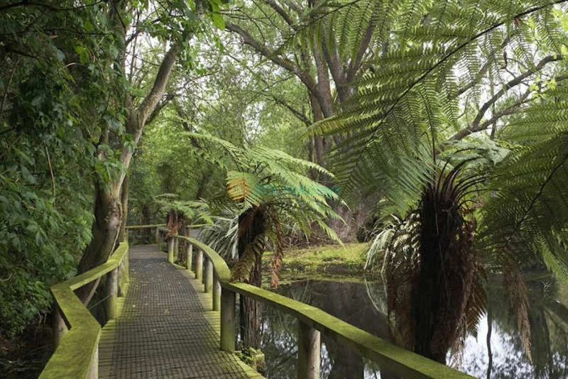 Willowbank Wildlife Reserve | NZ Native Wildlife - JTR Holidays - Image 7 of 8