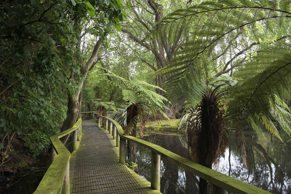 Willowbank Wildlife Reserve - Image 7 of 8