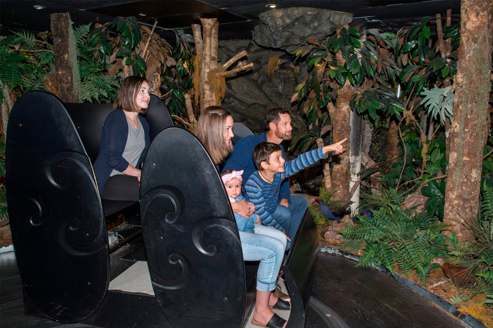 基督城缆车 - 图片 5 的 5