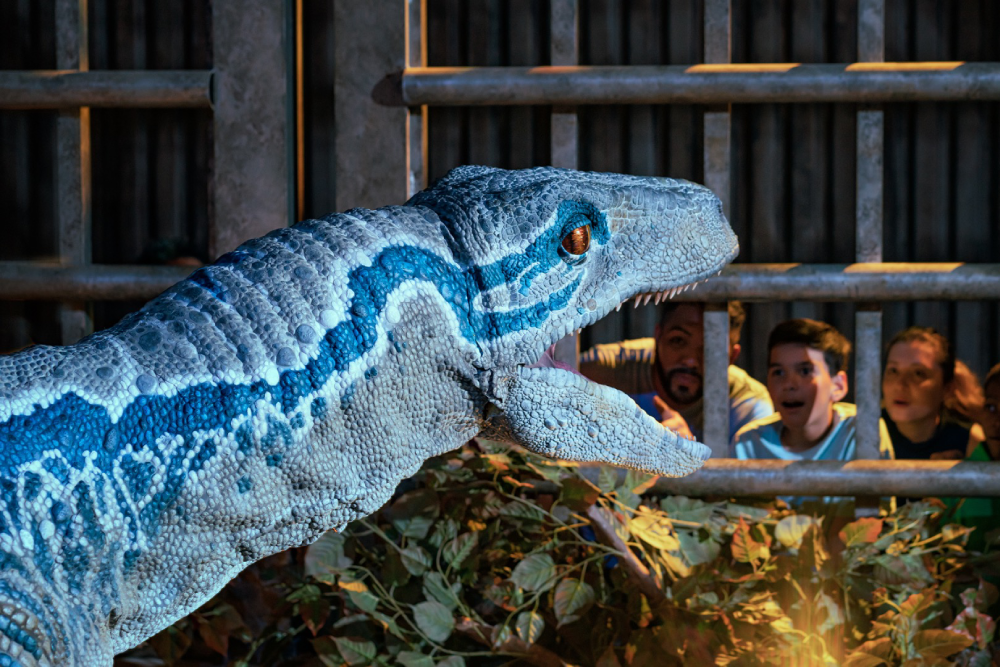 Jurassic World Exhibition Melbourne - Jurassic World The Exhibition Melbourne porta il film di successo alla vita con dinosauri a grandezza naturale e esperienze immersive. A Jurassic World The Exhibition Melbourne, attraversa i cancelli iconici, ammira un imponente Brachiosaurus e affronta da vicino il possente Tyrannosaurus Rex. Scopri i dinosauri, esplora ambientazioni a tema e vivi l'emozione di Jurassic World The Exhibition Melbourne. Non perdere questa indimenticabile avventura che ti lascerà senza fiato. Visita Jurassic World The Exhibition Melbourne per un viaggio lungo milioni di anni! Jurassic World Exhibition Melbourne - Immagine 1 di 5