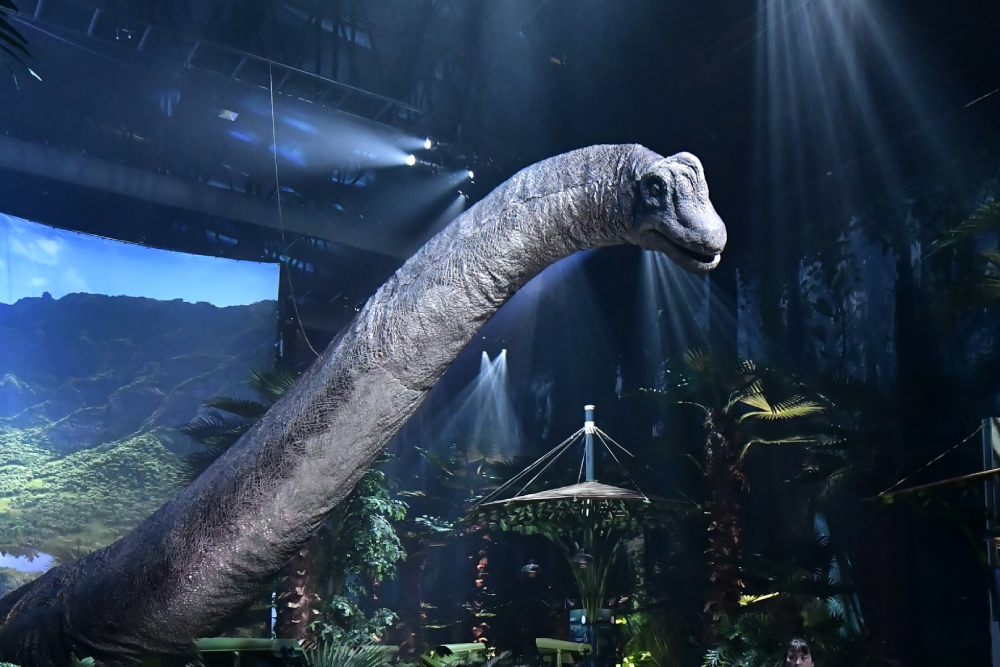 Jurassic World Exhibition Melbourne - Jurassic World The Exhibition Melbourne porta il film di successo alla vita con dinosauri a grandezza naturale e esperienze immersive. A Jurassic World The Exhibition Melbourne, attraversa i cancelli iconici, ammira un imponente Brachiosaurus e affronta da vicino il possente Tyrannosaurus Rex. Scopri i dinosauri, esplora ambientazioni a tema e vivi l'emozione di Jurassic World The Exhibition Melbourne. Non perdere questa indimenticabile avventura che ti lascerà senza fiato. Visita Jurassic World The Exhibition Melbourne per un viaggio lungo milioni di anni! Jurassic World Exhibition Melbourne - Immagine 4 di 5