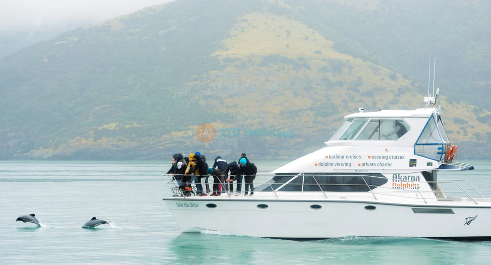 Croisière nature dans le port des Dauphins d'Akaroa - Embarquez pour la croisière nature dans le port des Dauphins d'Akaroa et explorez le pittoresque port d'Akaroa. Observez les rares dauphins d'Hector, des phoques, des manchots et des oiseaux marins tout en profitant des commentaires d'experts sur l'histoire et la faune de la région. Parfaite pour les familles et les amoureux de la nature, cette croisière éco-responsable offre des moments inoubliables au cœur d'une beauté naturelle. Croisière nature dans le port des Dauphins d'Akaroa - Image 1 sur 5