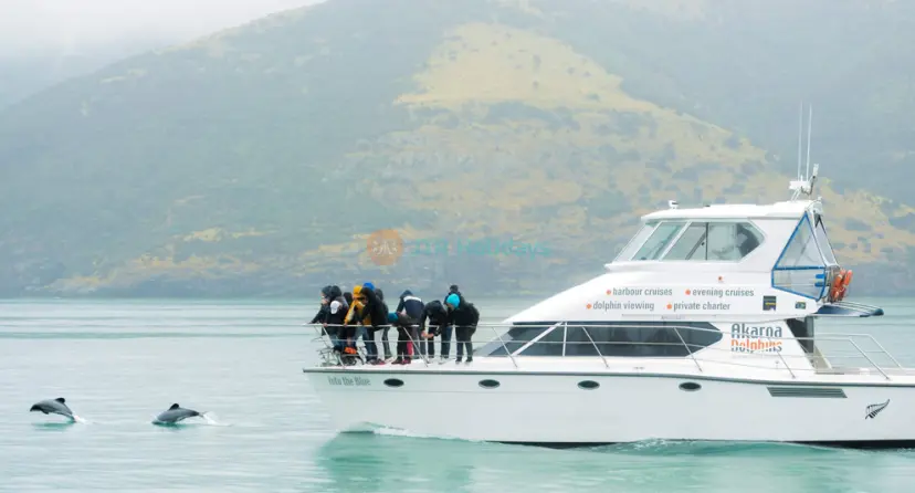 Croisière nature dans le port des Dauphins d'Akaroa - Image 1 of 6