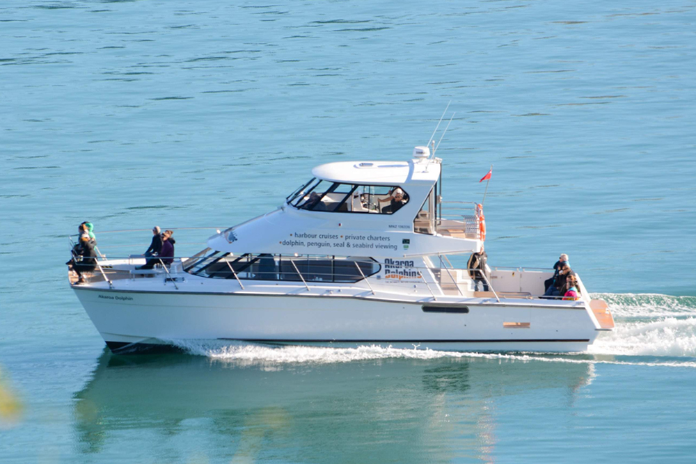 Akaroa Delfine Hafen Naturkreuzfahrt - Unternehmen Sie die Akaroa Delfine Hafen Naturkreuzfahrt und erkunden Sie den malerischen Akaroa Hafen. Beobachten Sie seltene Hector-Delfine, Robben, Pinguine und Seevögel, während Sie fachkundige Erläuterungen zur Geschichte und Tierwelt der Region genießen. Perfekt für Familien und Naturliebhaber bietet diese umweltfreundliche Kreuzfahrt unvergessliche Momente umgeben von natürlicher Schönheit. Akaroa Delfine Hafen Naturkreuzfahrt - Bild 3 von 5