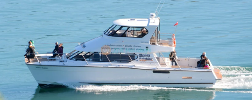 Croisière nature dans le port des Dauphins d'Akaroa - Embarquez pour la croisière nature dans le port des Dauphins d'Akaroa et explorez le pittoresque port d'Akaroa. Observez les rares dauphins d'Hector, des phoques, des manchots et des oiseaux marins tout en profitant des commentaires d'experts sur l'histoire et la faune de la région. Parfaite pour les familles et les amoureux de la nature, cette croisière éco-responsable offre des moments inoubliables au cœur d'une beauté naturelle. Croisière nature dans le port des Dauphins d'Akaroa - Image 3 sur 5