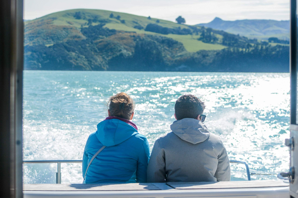 رحلة طبيعية في ميناء أكاروا لمشاهدة الدلافين - صورة 5 من 5