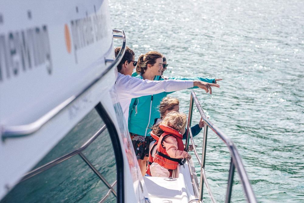 رحلة طبيعية في ميناء أكاروا لمشاهدة الدلافين - Image 6 of 6