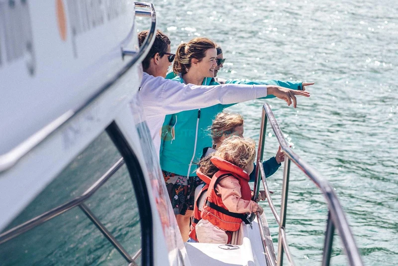 Akaroa Dolphins Nature Cruise - Wildlife & Scenic Adventure - JTR Holidays - Image 6 of 6