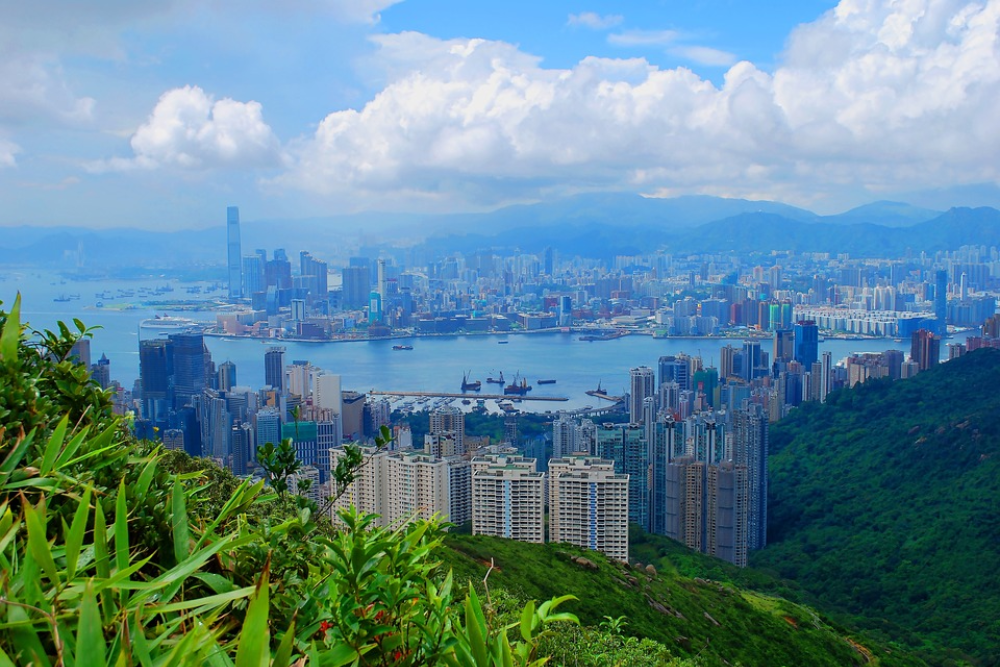 香港大巴随上随下巴士游 - 通过香港大巴随上随下巴士游发现香港的顶级景点。享受多条路线和多个停靠点,让您以自己的节奏灵活探索。香港大巴随上随下巴士游提供壮观景色、敞篷体验和多语言语音导览。非常适合旅行者,确保您通过城市著名地标留下难忘旅程。体验便捷和舒适,尽在香港大巴随上随下巴士游。 香港大巴随上随下巴士游 - 图片 5 的 5
