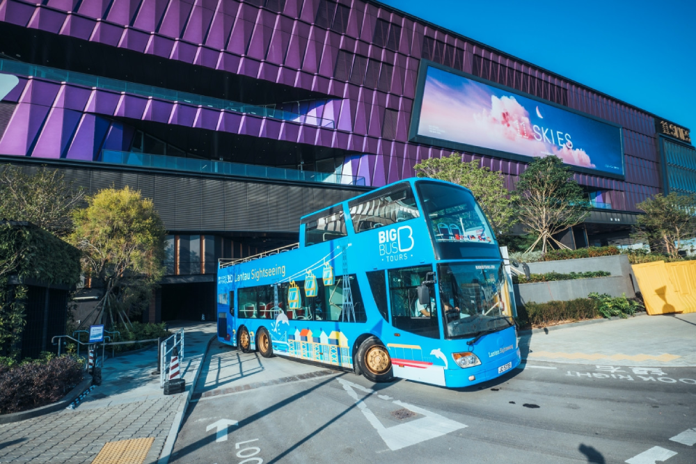 Lantau Sightseeing Bus Tour - Image 4 of 8