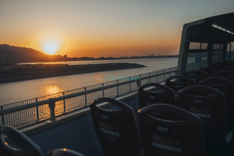 Lantau Sightseeing Bus Tour - Explore Lantau Island's Top Attractions - JTR Holidays - Image 8 of 8