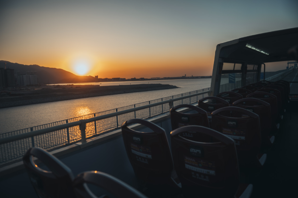 Lantau Sightseeing Bus Tour - Image 8 of 8