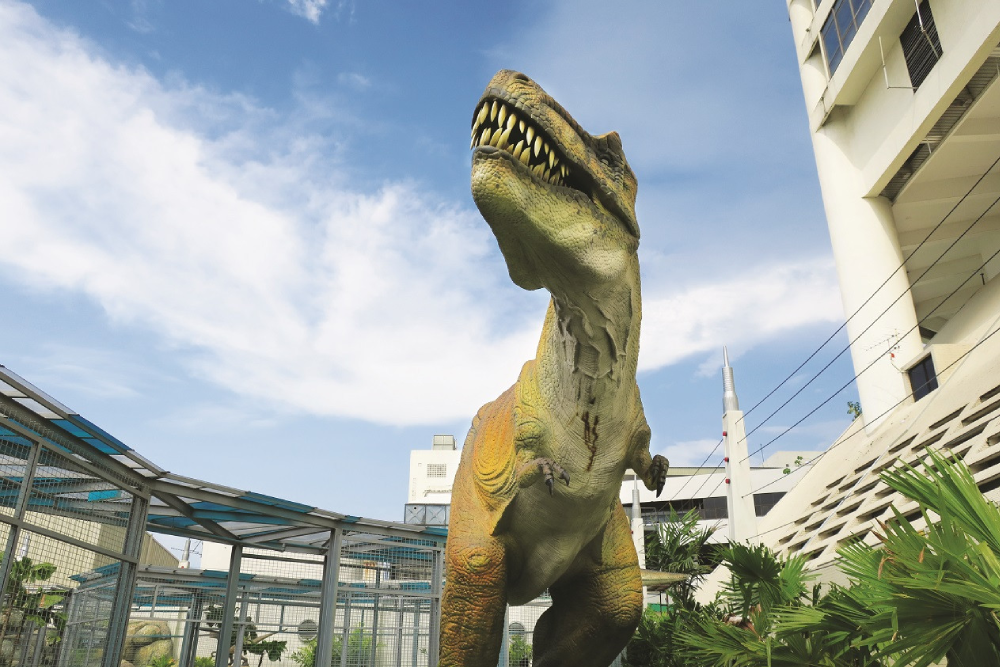 The TOP 槟城 - 图片 2 的 5