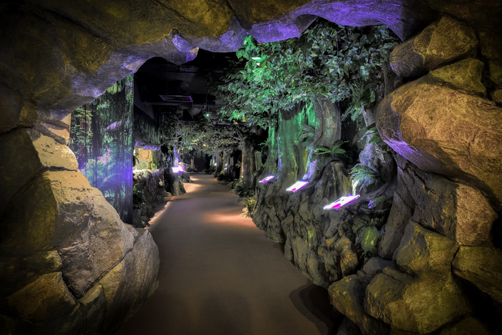 The TOP 槟城 - 图片 4 的 5