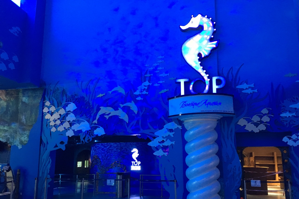 The TOP 槟城 - Image 8 of 9
