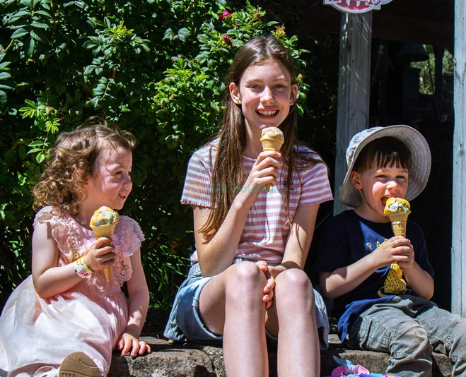 クライアル・キャッスル - バララット - Image 5 of 6