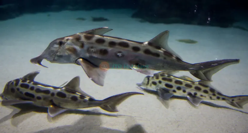SEA LIFE 凯利·塔尔顿水族馆 - Image 1 of 9