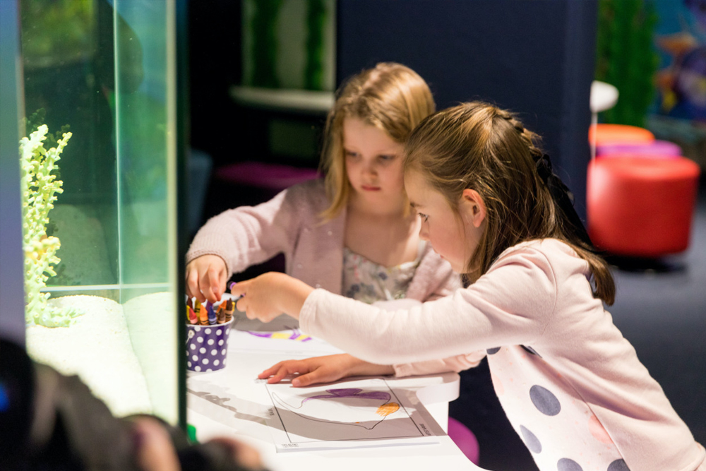 SEA LIFE Kelly Tarlton's Aquarium - Image 3 of 9