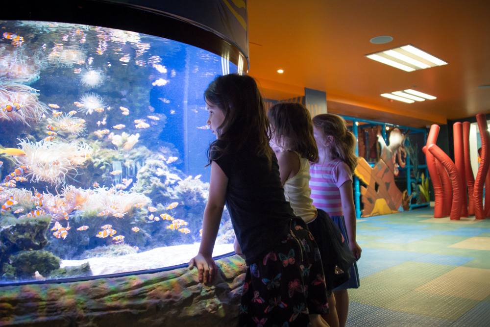 SEA LIFE Kelly Tarlton's Aquarium - Image 6 of 9