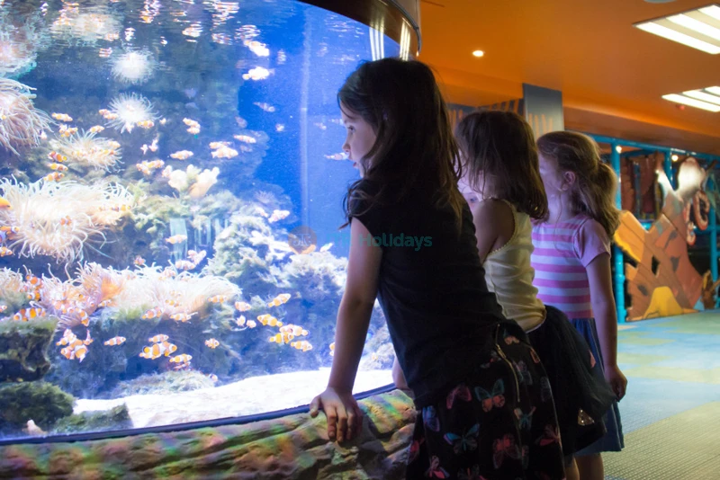 SEA LIFE Kelly Tarlton's Aquarium - Auckland's Marine Wonderland - JTR Holidays - Image 6 of 9