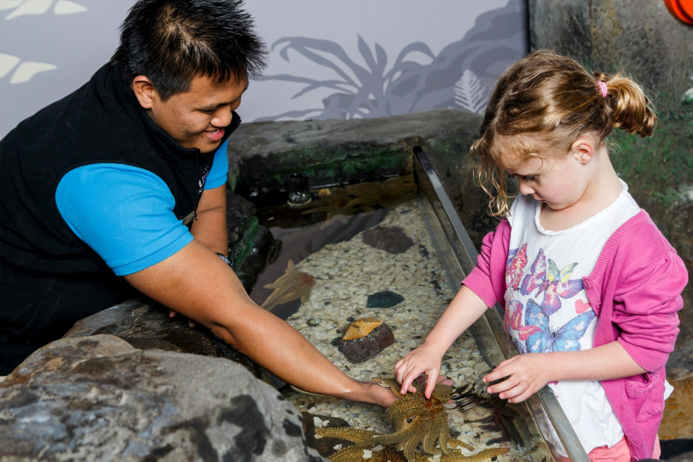 SEA LIFE Kelly Tarlton's Aquarium - Image 7 of 9