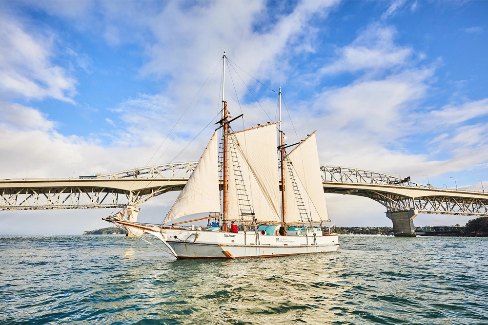 New Zealand Maritime Museum - Discover the rich maritime heritage of New Zealand at the New Zealand Maritime Museum. Located in Auckland’s Viaduct Basin, explore themed galleries showcasing Polynesian navigation, European settlement, and modern maritime innovations like the America’s Cup. A journey through time celebrating the nation’s connection to the sea. New Zealand Maritime Museum - Image 1 of 5