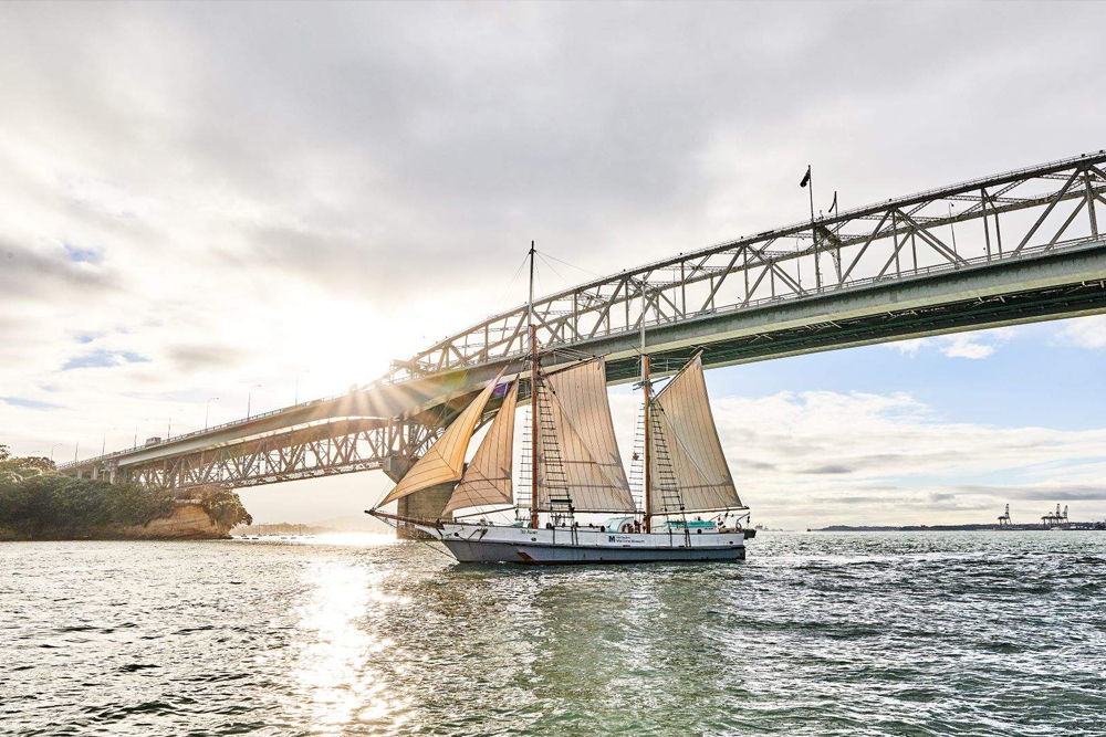 Новозеландский морской музей - Image 7 of 7