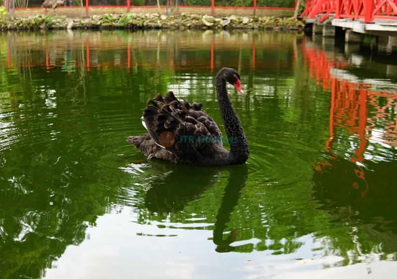 Penang Bird Park