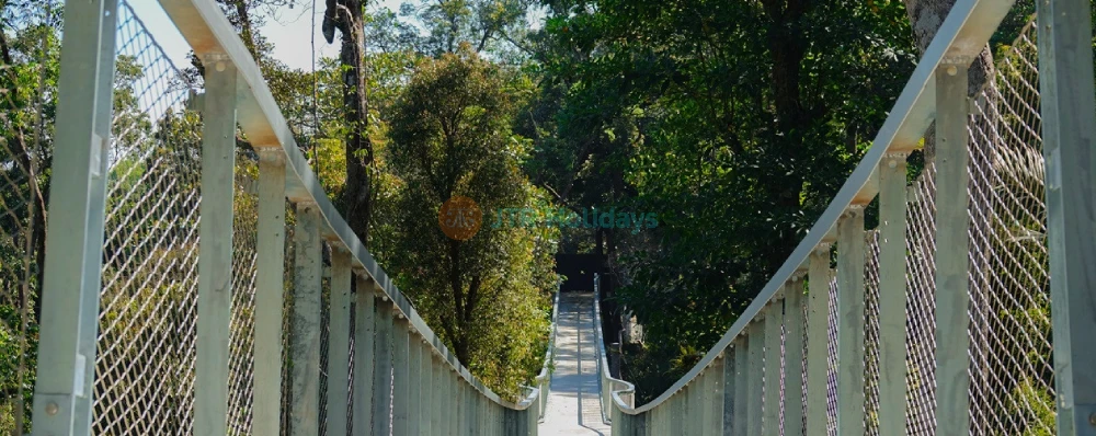 The Habitat Penang Hill - Explore Nature & Stunning Views - JTR Holidays - Image 4 of 5