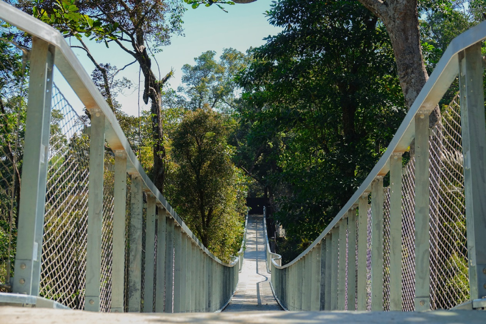 The Habitat Penang Hill - Image 4 of 10