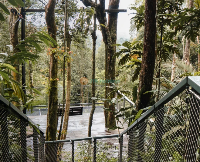 The Habitat Penang Hill - Explore Nature & Stunning Views - JTR Holidays - Image 5 of 5