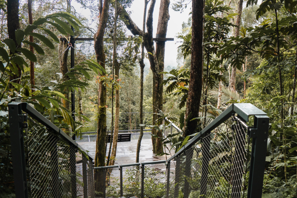 The Habitat Penang Hill - Image 5 of 10