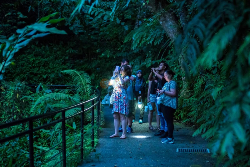 The Habitat Penang Hill - Explore Nature & Stunning Views - JTR Holidays - Image 9 of 10