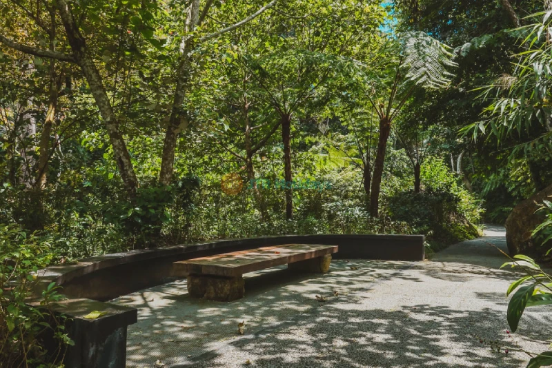 The Habitat Penang Hill - Explore Nature & Stunning Views - JTR Holidays - Image 10 of 10