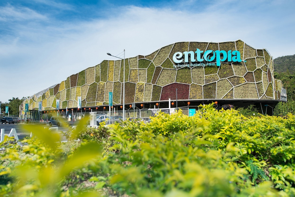 Энтопия на ферме бабочек Пенанга - Изображение 1 из 5