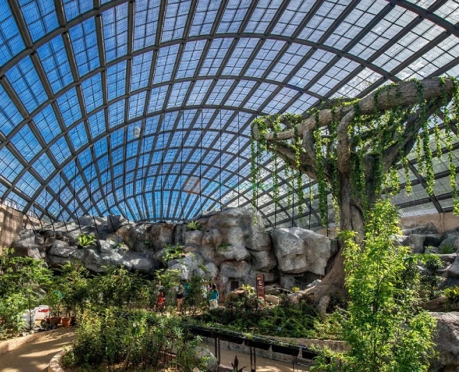 Entopia by Penang Butterfly Farm - Explore Nature's Wonders - JTR Holidays - Image 2 of 5