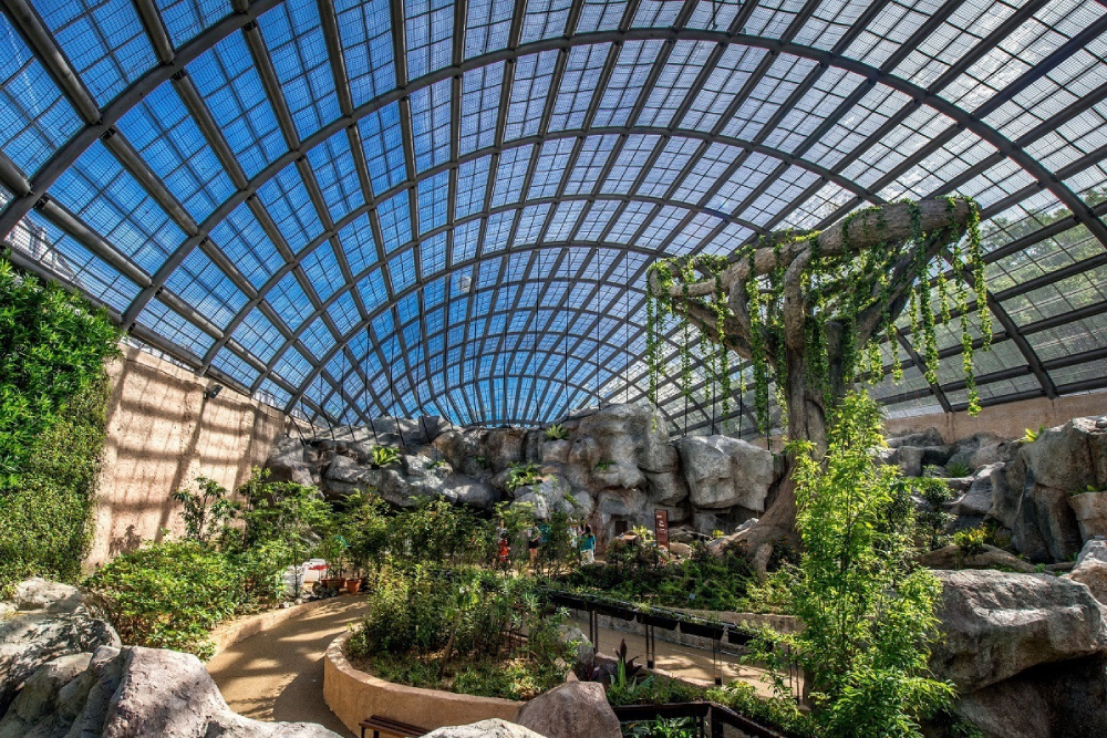 Энтопия на ферме бабочек Пенанга - Изображение 2 из 5