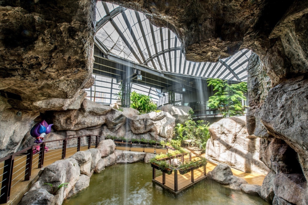 Энтопия на ферме бабочек Пенанга - Image 3 of 10