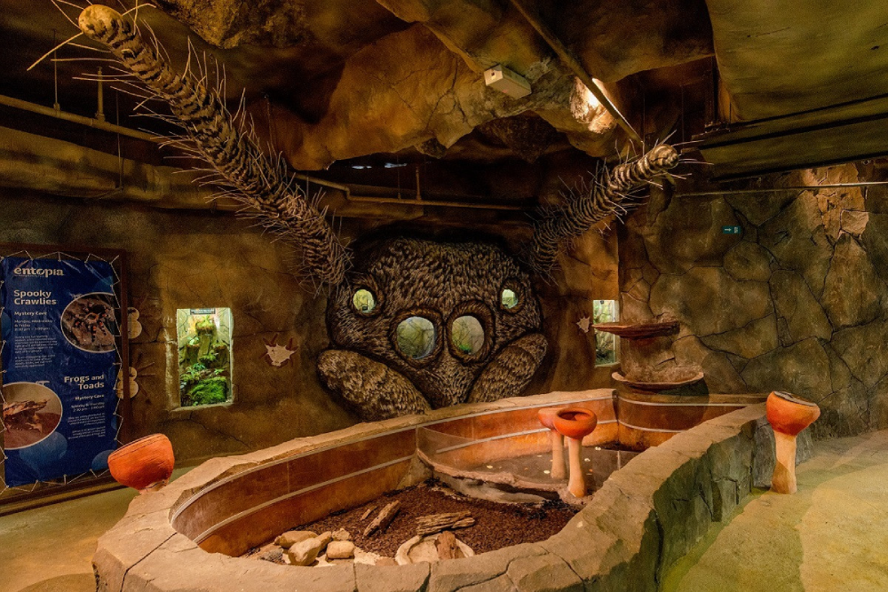 Энтопия на ферме бабочек Пенанга - Image 4 of 10