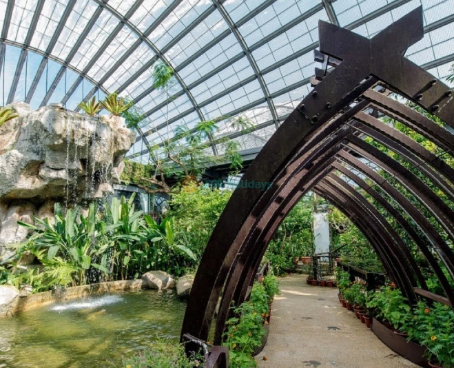 Entopia by Penang Butterfly Farm - Explore Nature's Wonders - JTR Holidays - Image 5 of 5