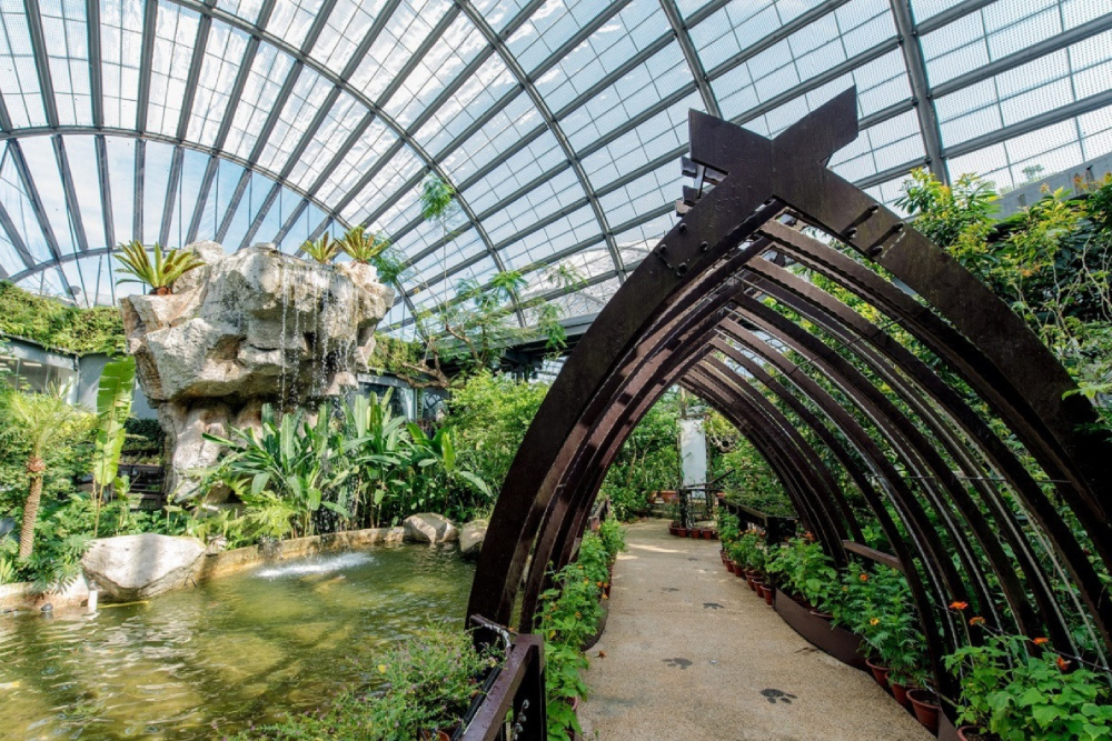 Энтопия на ферме бабочек Пенанга - Изображение 5 из 5