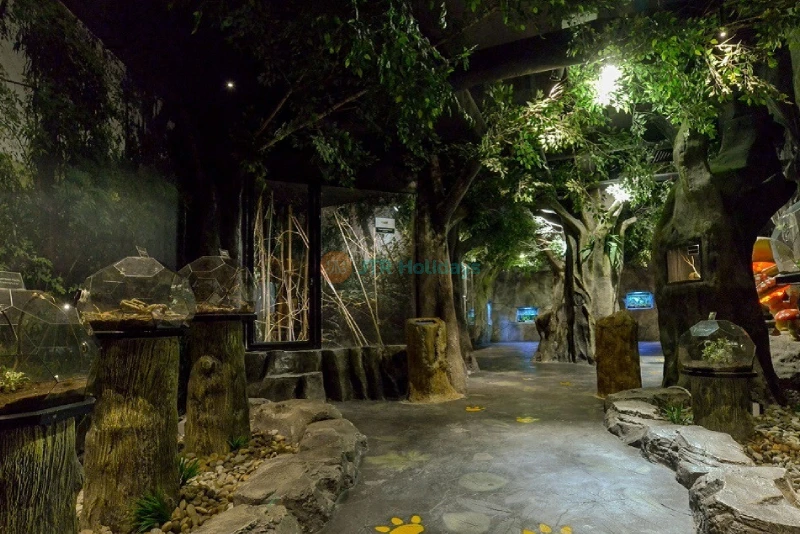 Entopia by Penang Butterfly Farm - Explore Nature's Wonders - JTR Holidays - Image 7 of 10