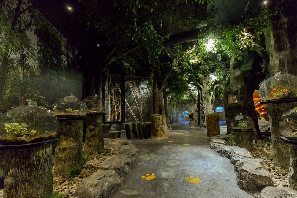 Энтопия на ферме бабочек Пенанга - Image 7 of 10