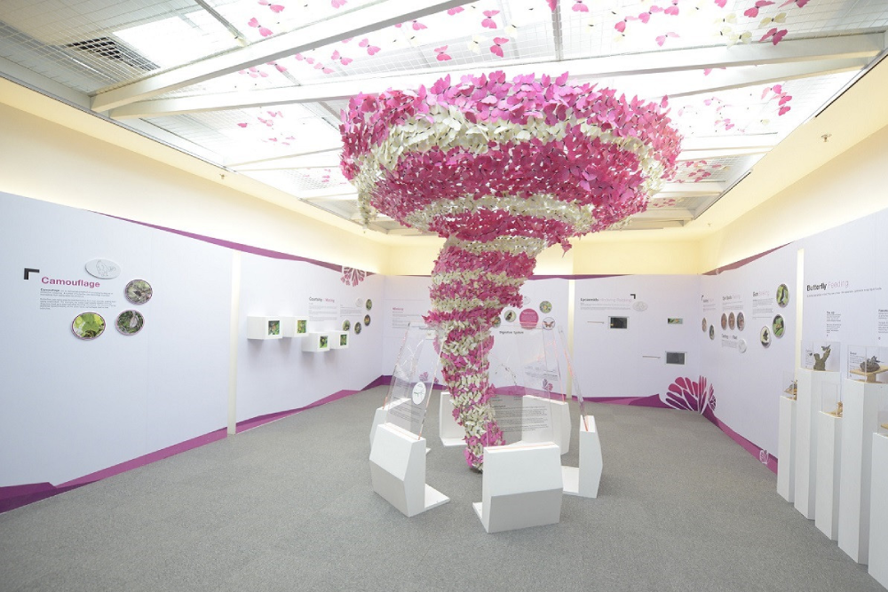 Энтопия на ферме бабочек Пенанга - Image 8 of 10