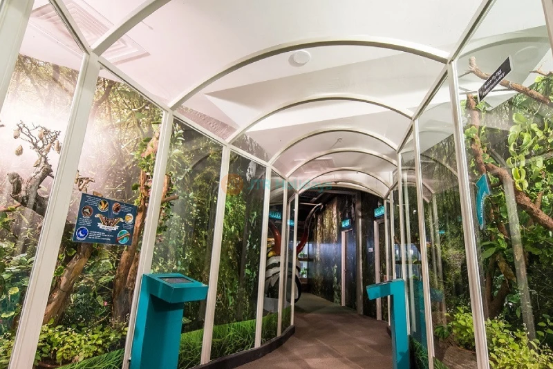 Entopia by Penang Butterfly Farm - Explore Nature's Wonders - JTR Holidays - Image 9 of 10