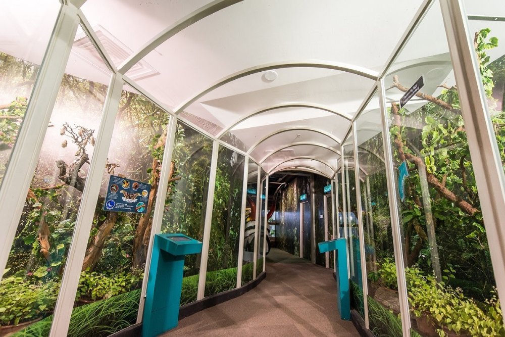 Энтопия на ферме бабочек Пенанга - Image 9 of 10